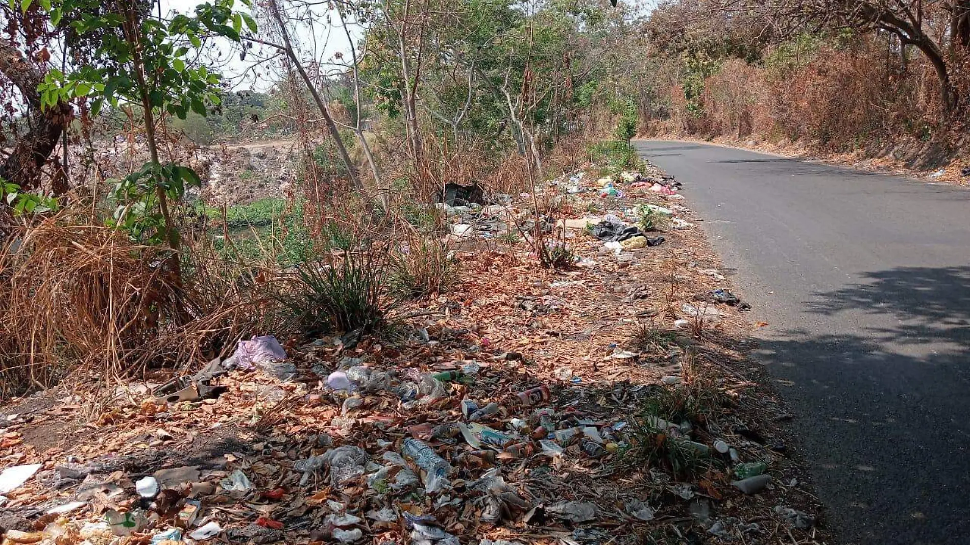 basura tirada en la carretera